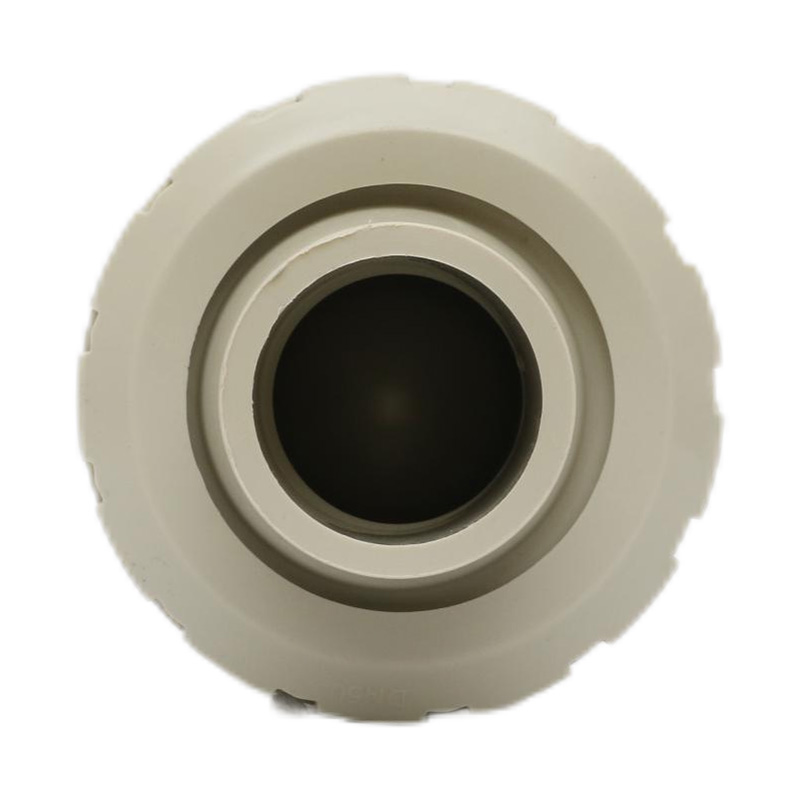 PPH H61F-10S হট মেট ওয়েল্ডিং চেক ভালভ DN50 গিগাবাইট