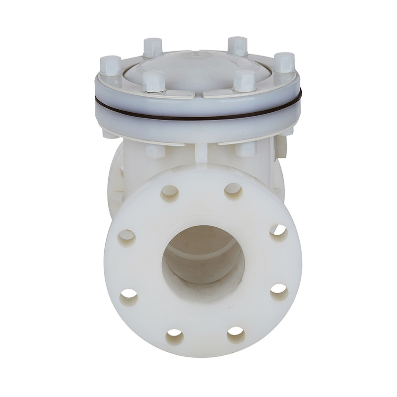 PVDF H44F-10F সুইং টাইপ চেক ভালভ DN15-300 গিগাবাইট