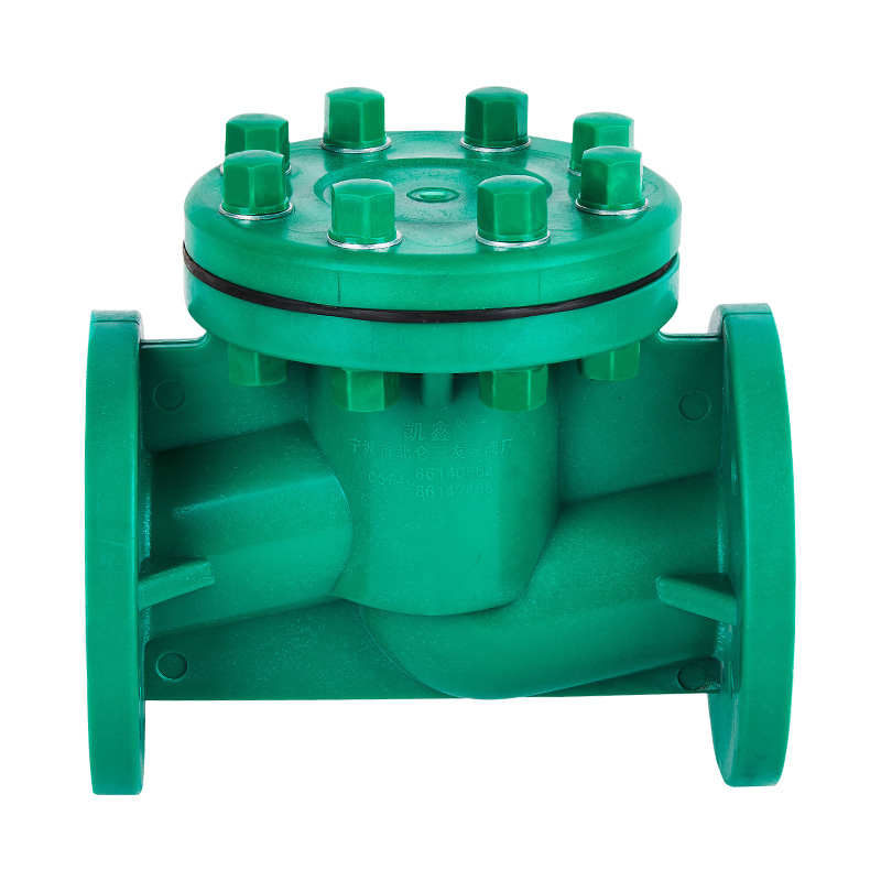 FRPP H41F-10S লাইফ টাইপ চেক ভালভ DN40-80 গিগাবাইট