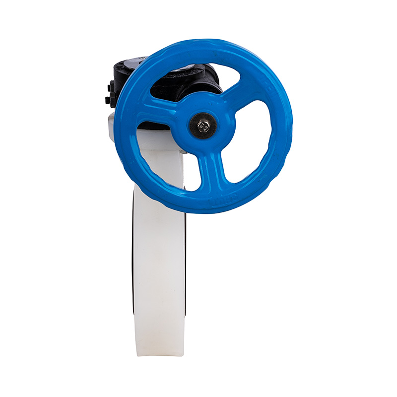 PVDF D371X-10F ওয়ার্ম-গিয়ার বাটারফ্লাই ভালভ DN32-1000 জিবি