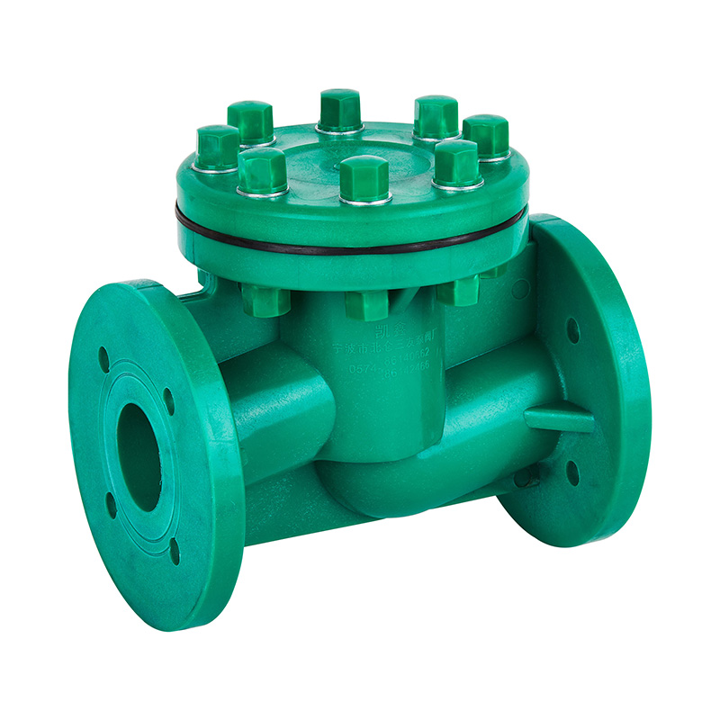 FRPP H41F-10S লাইফ টাইপ চেক ভালভ DN40-80 গিগাবাইট