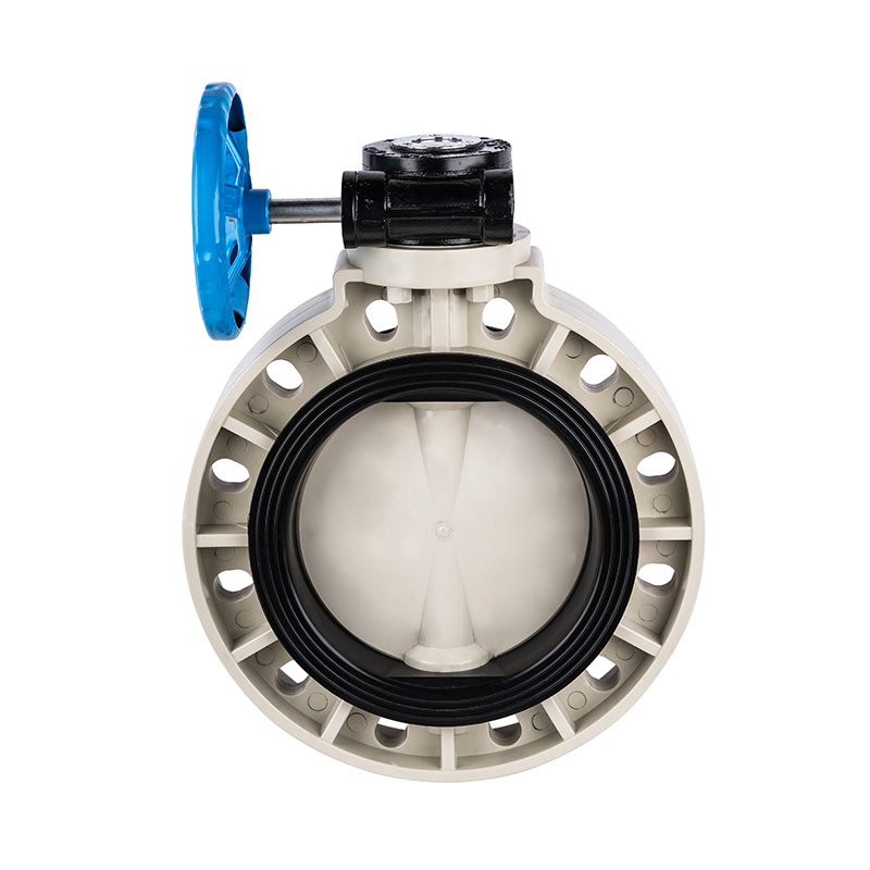 PPH D371X-10S ওয়ার্ম-গিয়ার বাটারফ্লাই ভালভ DN40-1000 1-1/2'-30' ANSI