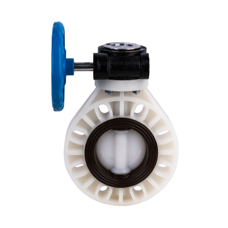 PVDF D371X-10F ওয়ার্ম-গিয়ার বাটারফ্লাই ভালভ DN32-1000 জিবি