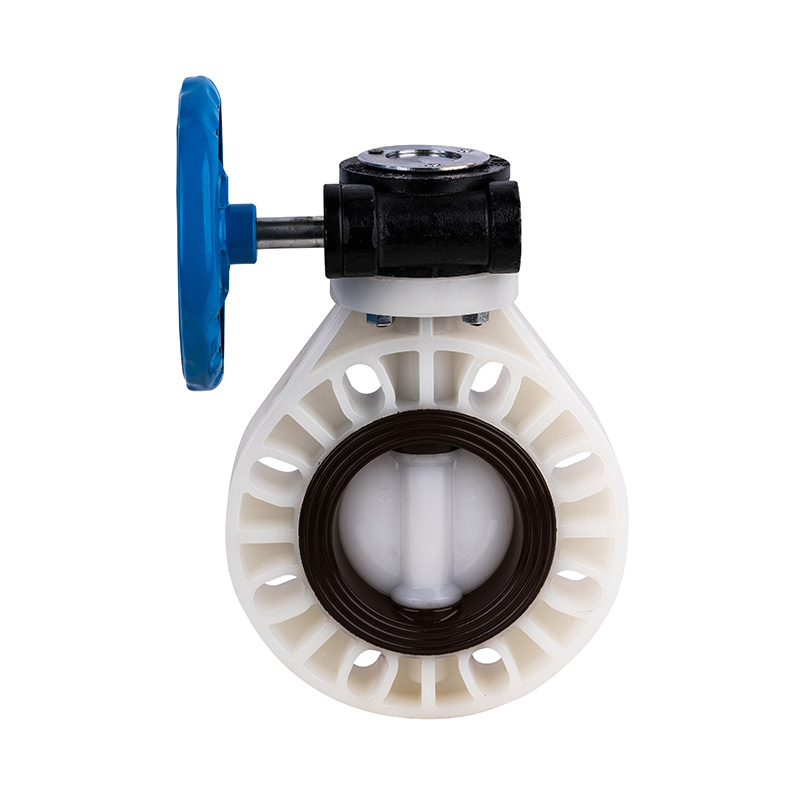 PVDF D371X-10F ওয়ার্ম-গিয়ার বাটারফ্লাই ভালভ DN40-1000 40A-1000A JIS